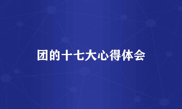 团的十七大心得体会