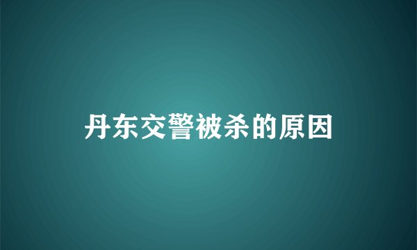 丹东交警被杀的原因