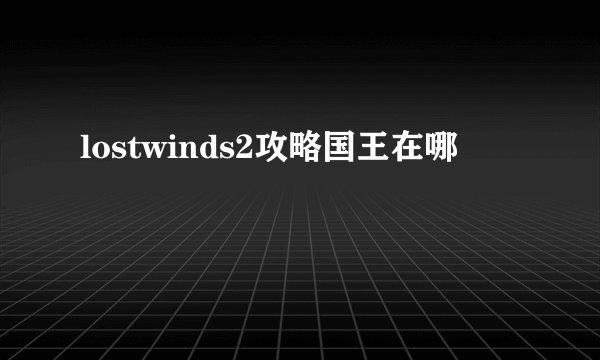 lostwinds2攻略国王在哪
