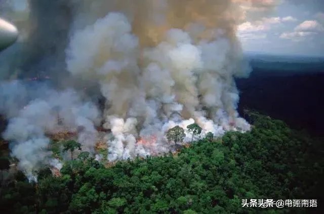 给钱都不要,巴西总统为何拒绝G7为扑灭亚马孙雨林大火而给的2000万美元的援助?