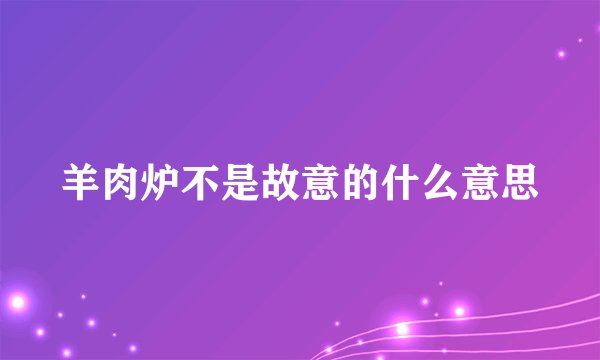 羊肉炉不是故意的什么意思