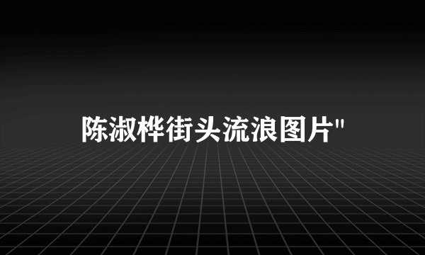 陈淑桦街头流浪图片