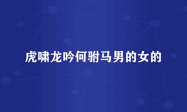 虎啸龙吟何驸马男的女的