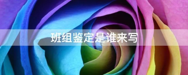 班组鉴定是谁来写