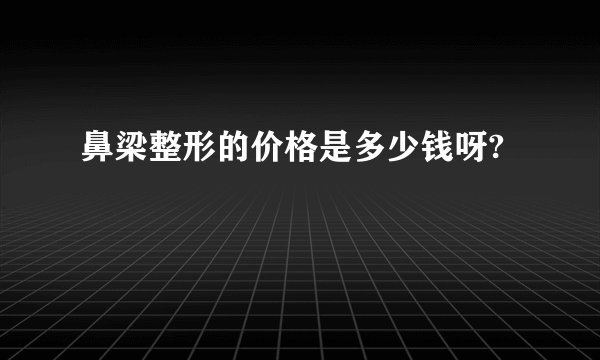 鼻梁整形的价格是多少钱呀?
