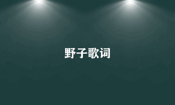 野子歌词