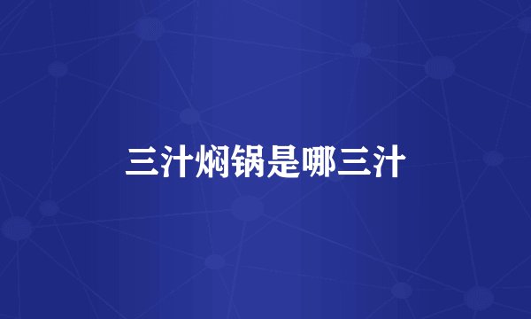 三汁焖锅是哪三汁