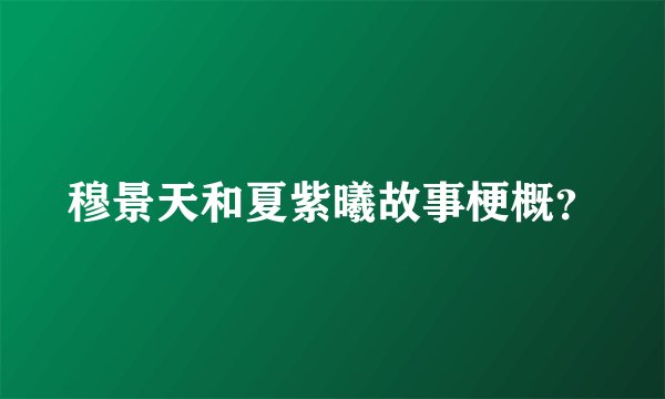 穆景天和夏紫曦故事梗概？