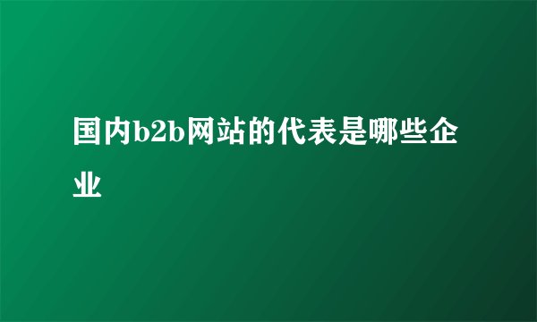 国内b2b网站的代表是哪些企业