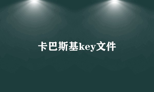 卡巴斯基key文件