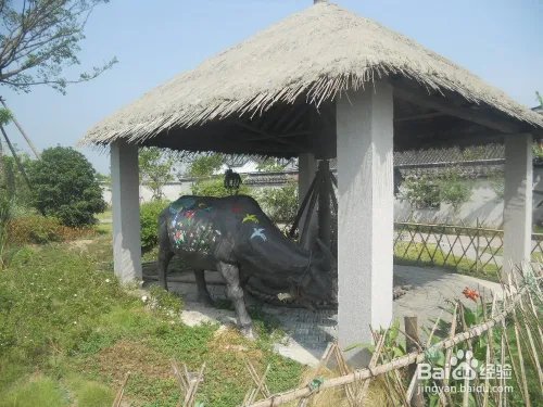 假期旅游之上海金山廊下生态园