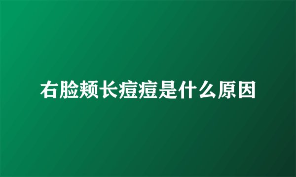 右脸颊长痘痘是什么原因