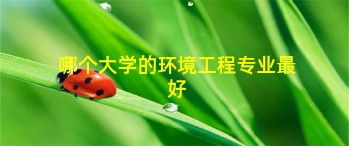 哪个大学的环境工程专业最好
