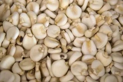 高血糖适合吃什么食物