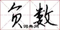 负数