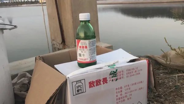 即墨海参违规养殖3人被控制，山东即墨海参存在哪些问题？