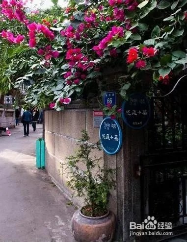国内蜜月旅行去哪里？十大最佳蜜月旅行推荐