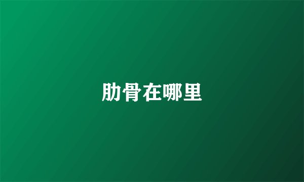 肋骨在哪里