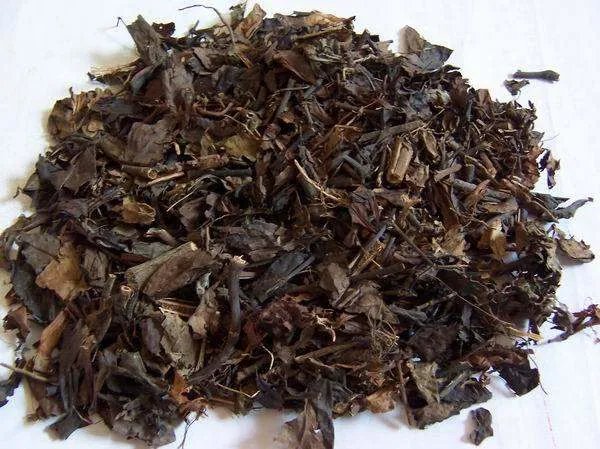 草珊瑚是什么样
