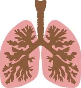 肺癌晚期临死前症状?