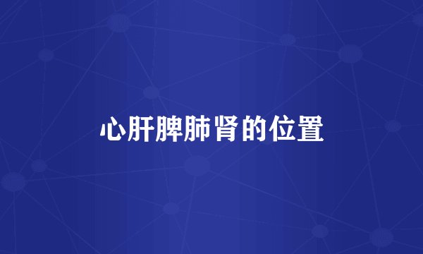 心肝脾肺肾的位置