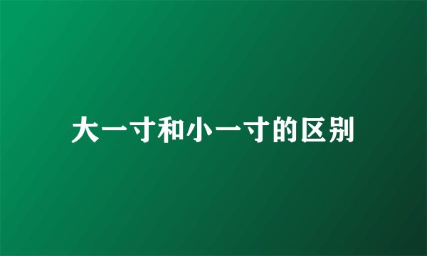 大一寸和小一寸的区别