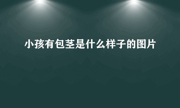 小孩有包茎是什么样子的图片