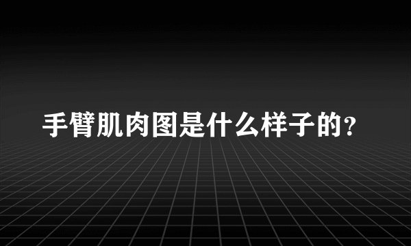 手臂肌肉图是什么样子的？