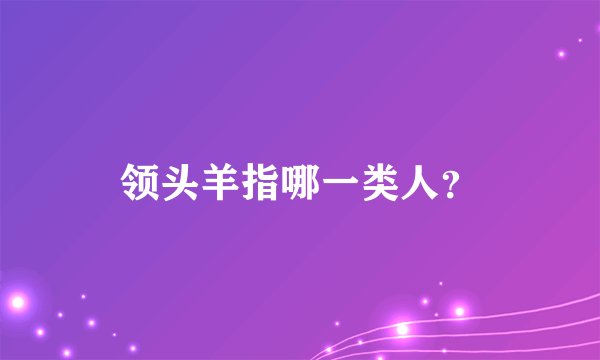 领头羊指哪一类人？