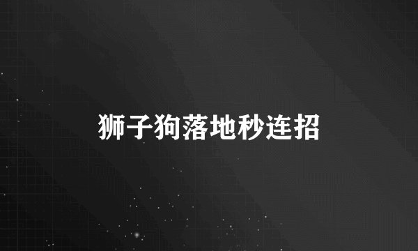 狮子狗落地秒连招