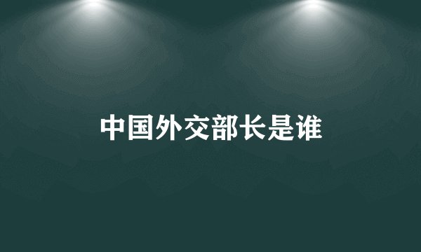 中国外交部长是谁