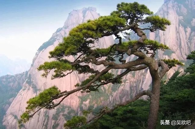 就黄山景区游客爆满,你怎么看?