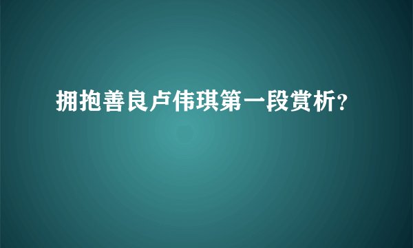 拥抱善良卢伟琪第一段赏析？