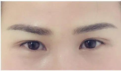 纹眉的价格