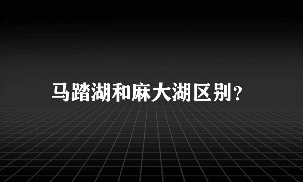 马踏湖和麻大湖区别？