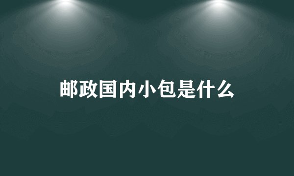 邮政国内小包是什么