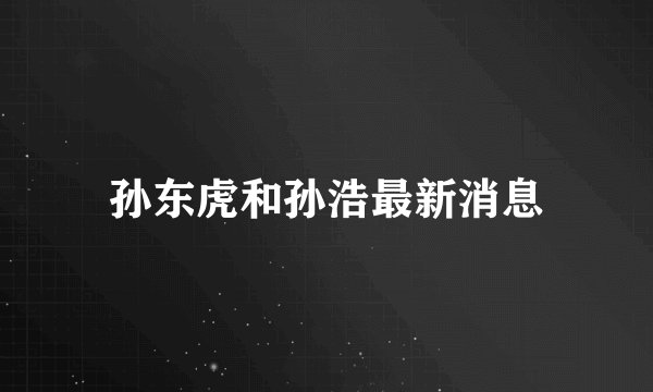 孙东虎和孙浩最新消息
