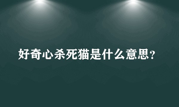 好奇心杀死猫是什么意思？