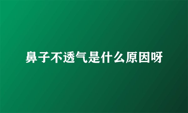 鼻子不透气是什么原因呀