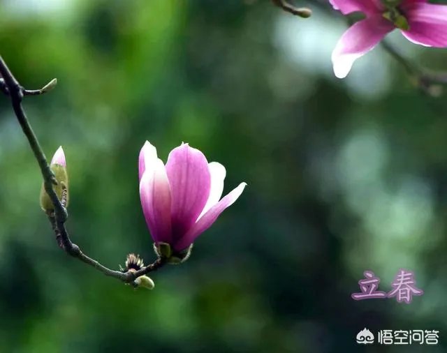农村俗语“七年难逢九月闰,百年难逢初一春”,是什么意思?