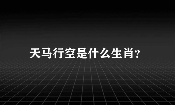 天马行空是什么生肖？