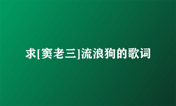 求[窦老三]流浪狗的歌词