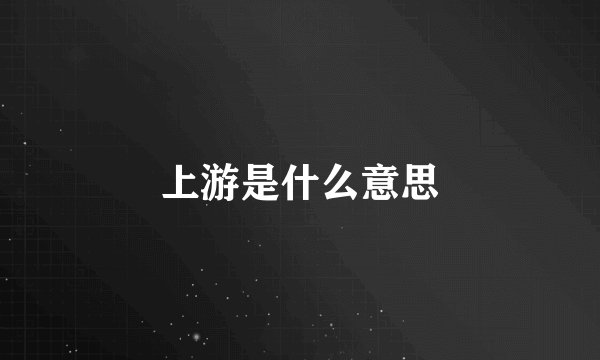 上游是什么意思