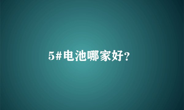 5#电池哪家好？