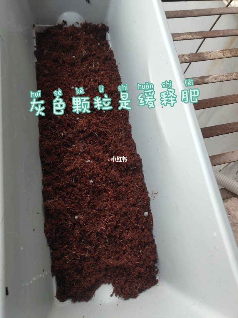 土壤的准备