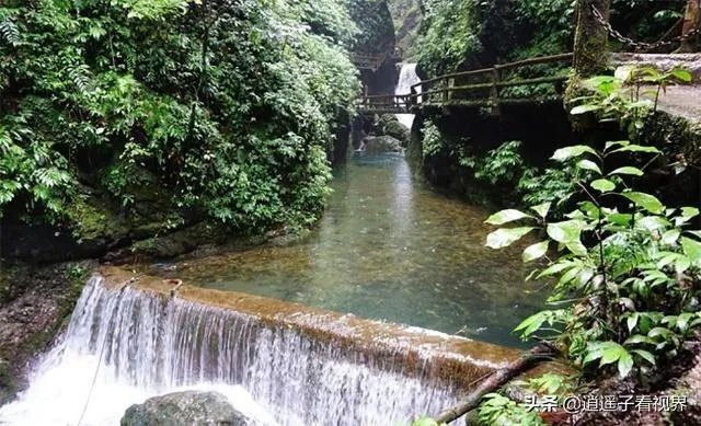 成都青城山好玩吗?