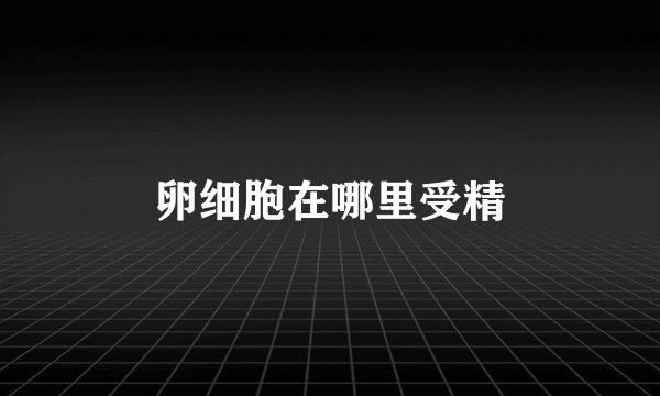 卵细胞在哪里受精