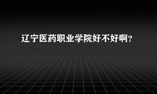辽宁医药职业学院好不好啊？