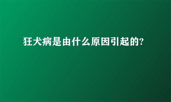 狂犬病是由什么原因引起的?