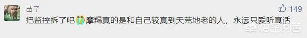 陶白白是什么梗?